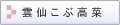 �A�C�X�v�����g