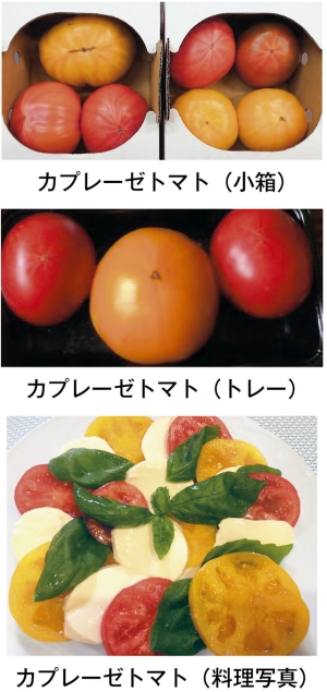 カプレーゼトマト