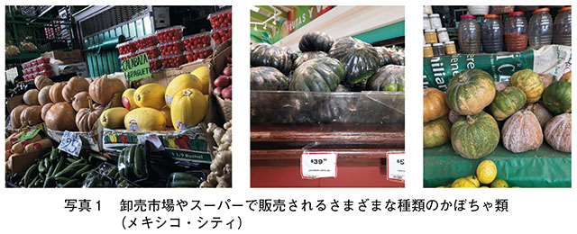 写真1　 卸売市場やスーパーで販売されるさまざまな種類のかぼちゃ類 （メキシコ・シティ）