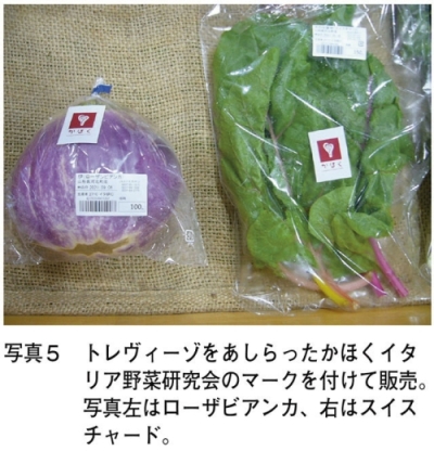 写真5　 トレヴィーゾをあしらったかほくイタ リア野菜研究会のマークを付けて販売。 写真左はローザビアンカ、右はスイス チャード。