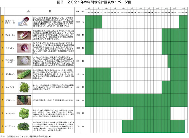 図3　2021年の年間栽培計画表の1ページ目
