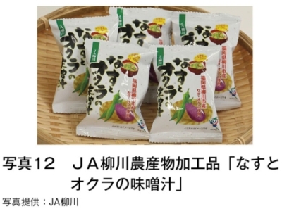 写真12　 JA柳川農産物加工品「なすと オクラの味噌汁」