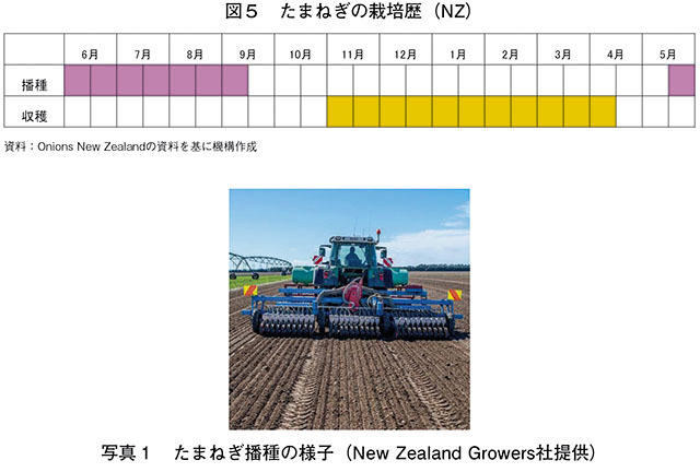 図5　たまねぎの栽培歴（NZ）　写真1　たまねぎ播種の様子