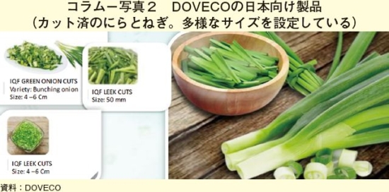 コラム－写真2　DOVECOの日本向け製品