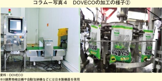 コラム－写真4　DOVECOの加工の様子（2）