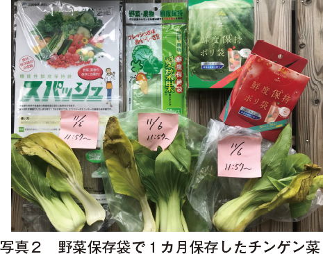 写真2　 野菜保存袋で1カ月保存したチンゲン菜