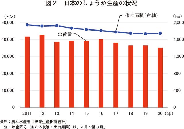 図2　日本のしょうが生産の状況