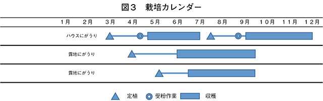 タイトル: p052b