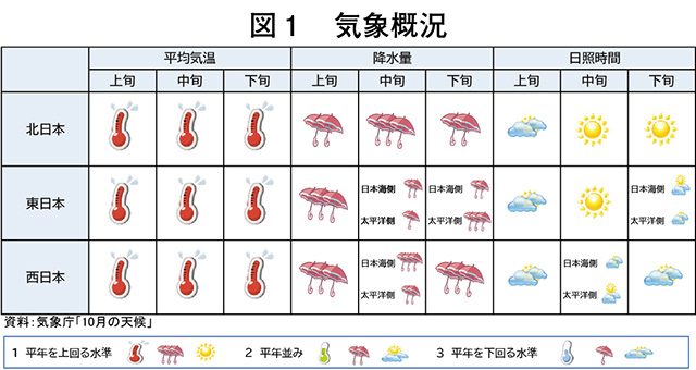 タイトル: p008