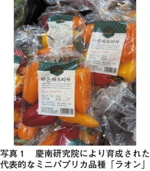 タイトル: p059a