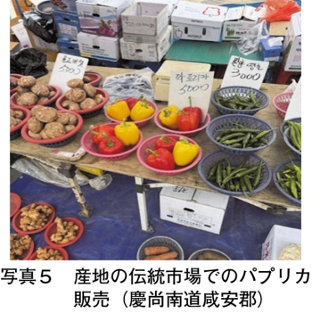 タイトル: p061