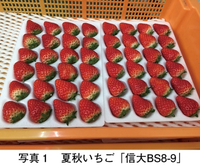 タイトル: p002