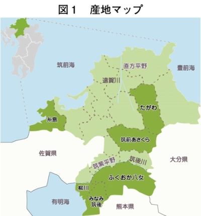 タイトル: p031b