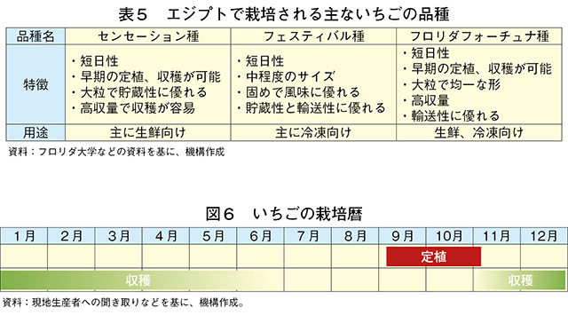 タイトル: p060