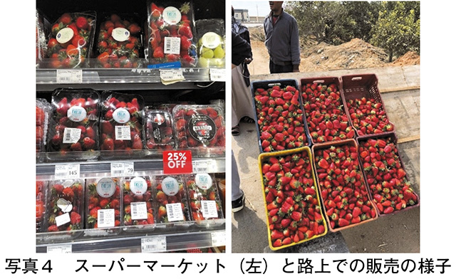 タイトル: p065a