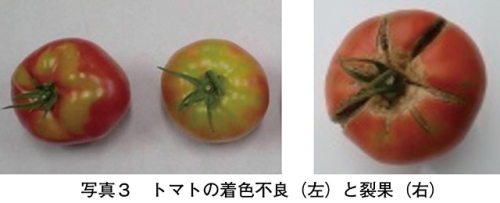 タイトル: p005a