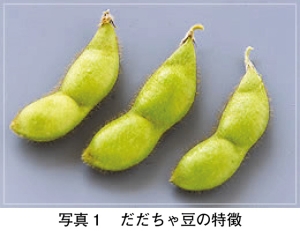 タイトル: p055