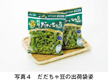 タイトル: p056b