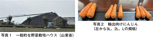 タイトル: p075