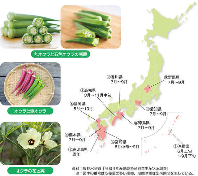 タイトル: p029