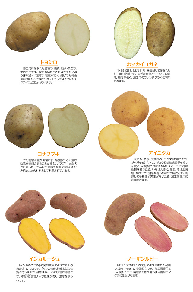 タイトル: p082