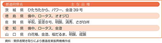 タイトル: p029a