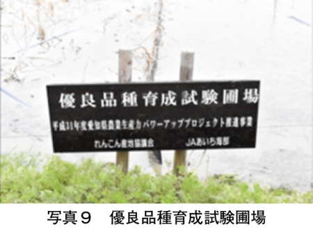 タイトル: p039a