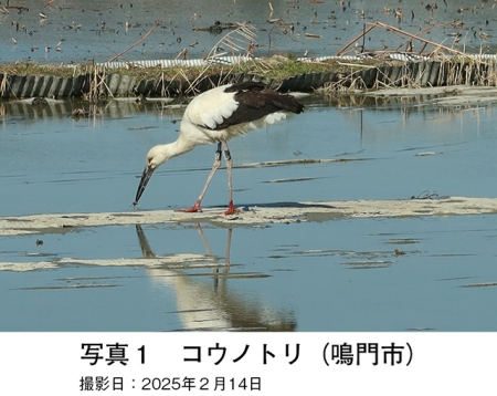 タイトル: p051b