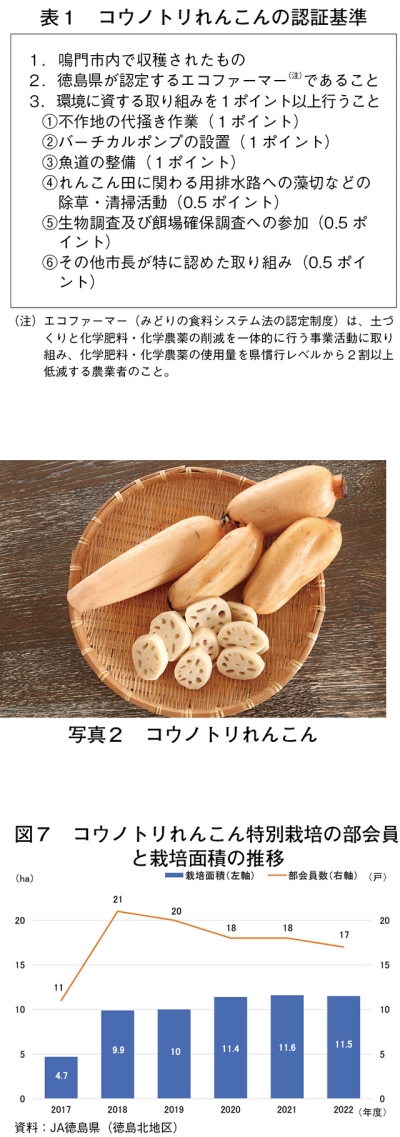 タイトル: p052b