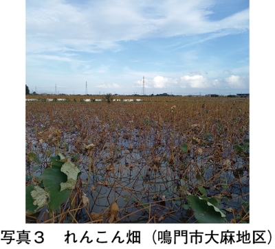 タイトル: p053