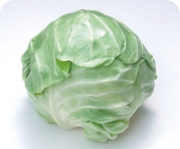 タイトル横　野菜写真