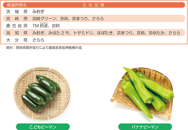 タイトル: p030