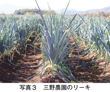 タイトル: p041