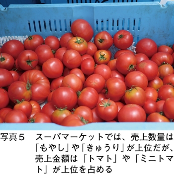 タイトル: p043