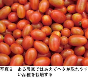 タイトル: p046b