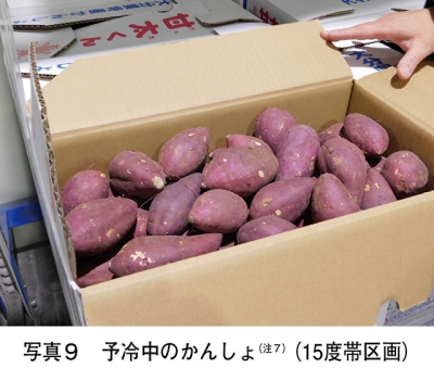 タイトル: p053b