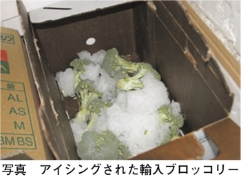 タイトル: p058a