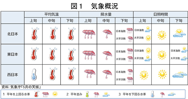 タイトル: p009a
