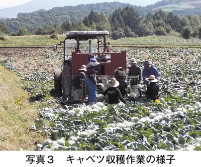 タイトル: p058b