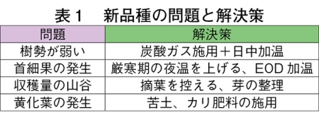 タイトル: p015b
