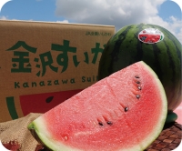 タイトル横　野菜写真