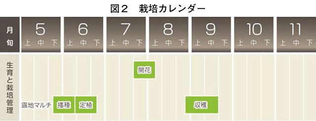 タイトル: p035a