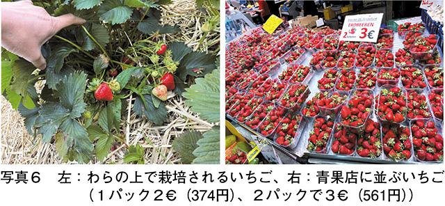 タイトル: p055