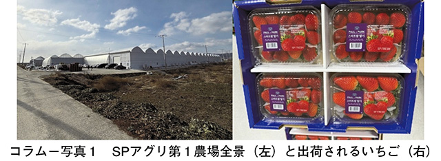 タイトル: p062a