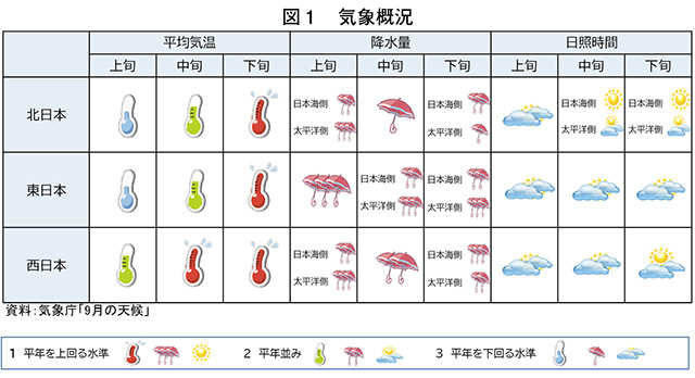 タイトル: p017a