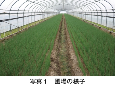 タイトル: p049