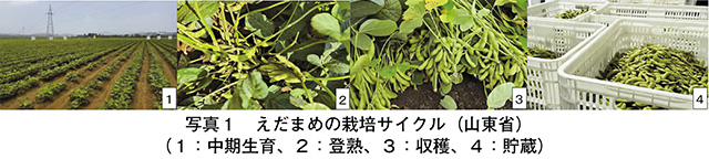 タイトル: p070b