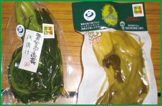 野菜のいろいろ 雲仙こぶ高菜 月報 野菜情報 ２０１２年３月