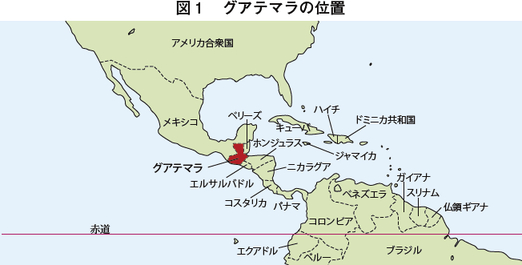 グアテマラにおけるブロッコリーの生産 流通および輸出動向 海外情報 18年9月