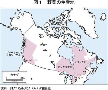 カナダのトマト生産 流通および日本への輸出動向 海外情報 19年10月